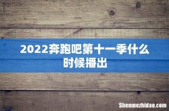 2022奔跑吧第十一季什么时候播出
