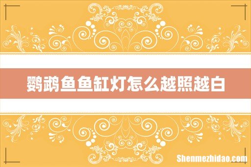鹦鹉鱼鱼缸灯怎么越照越白