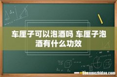 车厘子可以泡酒吗 车厘子泡酒有什么功效