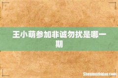 王小萌参加非诚勿扰是哪一期