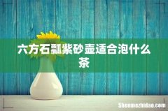 六方石瓢紫砂壶适合泡什么茶