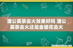 蒲公英茶去火效果好吗 蒲公英茶去火还是金银花去火