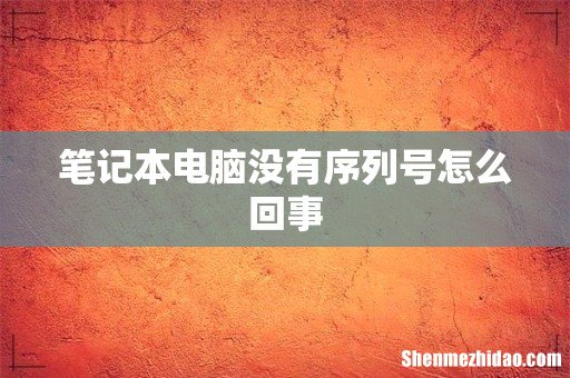 笔记本电脑没有序列号怎么回事