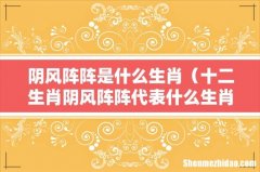 十二生肖阴风阵阵代表什么生肖 阴风阵阵是什么生肖