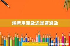 烧烤用海盐还是普通盐