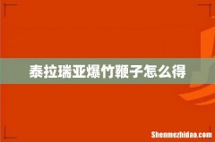 泰拉瑞亚爆竹鞭子怎么得