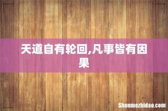 天道自有轮回,凡事皆有因果
