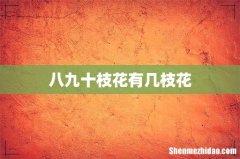 八九十枝花有几枝花