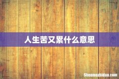 人生苦又累什么意思