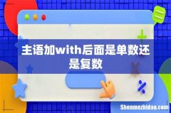 主语加with后面是单数还是复数