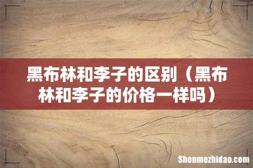 黑布林和李子的价格一样吗 黑布林和李子的区别