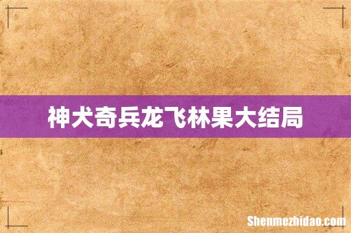 神犬奇兵龙飞林果大结局