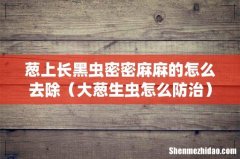 大葱生虫怎么防治 葱上长黑虫密密麻麻的怎么去除