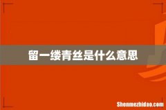 留一缕青丝是什么意思