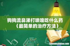 最简单的治疗方法 狗狗流鼻涕打喷嚏吃什么药