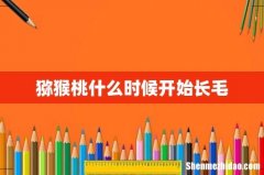 猕猴桃什么时候开始长毛