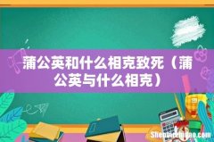 蒲公英与什么相克 蒲公英和什么相克致死