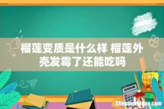 榴莲变质是什么样 榴莲外壳发霉了还能吃吗