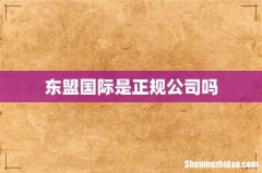 东盟国际是正规公司吗