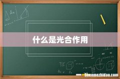 什么是光合作用