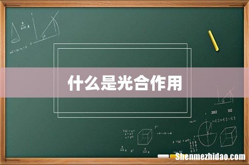 什么是光合作用