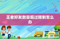 王者好友数目超过限制怎么办