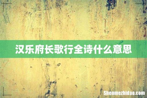 汉乐府长歌行全诗什么意思