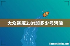 大众途威2.0t加多少号汽油