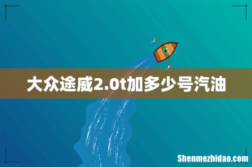 大众途威2.0t加多少号汽油