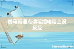 斑马英语点读笔插电脑上没反应