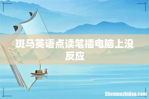 斑马英语点读笔插电脑上没反应