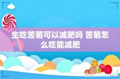 生吃苦菊可以减肥吗 苦菊怎么吃能减肥