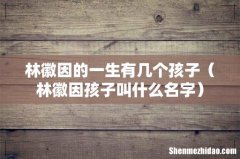 林徽因孩子叫什么名字 林徽因的一生有几个孩子