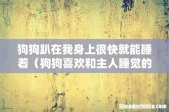 狗狗喜欢和主人睡觉的原因 狗狗趴在我身上很快就能睡着