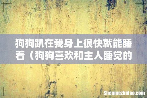 狗狗喜欢和主人睡觉的原因 狗狗趴在我身上很快就能睡着