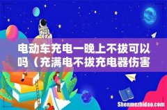 充满电不拔充电器伤害电池吗 电动车充电一晚上不拔可以吗