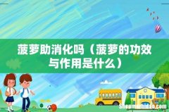 菠萝的功效与作用是什么 菠萝助消化吗