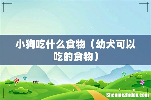 幼犬可以吃的食物 小狗吃什么食物