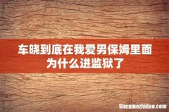 车晓到底在我爱男保姆里面为什么进监狱了