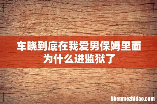 车晓到底在我爱男保姆里面为什么进监狱了