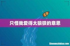 只怪我爱得太狼狈的意思