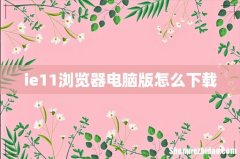 ie11浏览器电脑版怎么下载