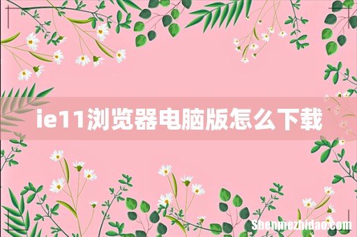 ie11浏览器电脑版怎么下载