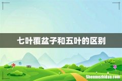 七叶覆盆子和五叶的区别
