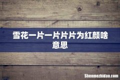 雪花一片一片片片为红颜啥意思