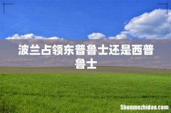 波兰占领东普鲁士还是西普鲁士