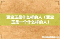 贾宝玉是一个什么样的人 贾宝玉是什么样的人