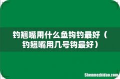 钓翘嘴用几号钩最好 钓翘嘴用什么鱼钩钓最好