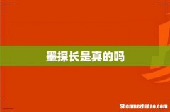 墨探长是真的吗