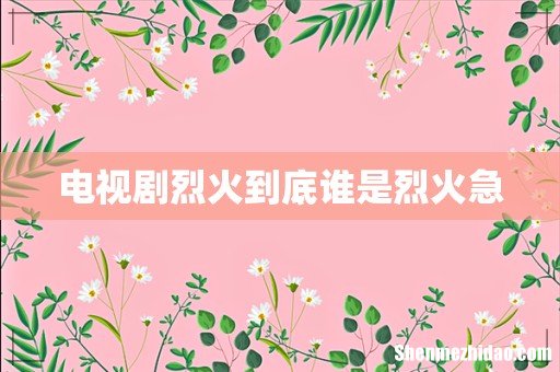 电视剧烈火到底谁是烈火急